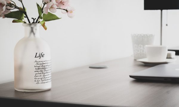 含羞草研究所为科技公司打造的绿色办公空间，员工在绿植环绕的开放工位中高效协作，自然光与植物共同营造舒适工作氛围